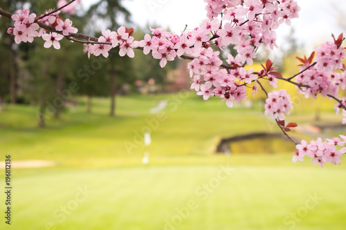 Spring Fairway Golfing