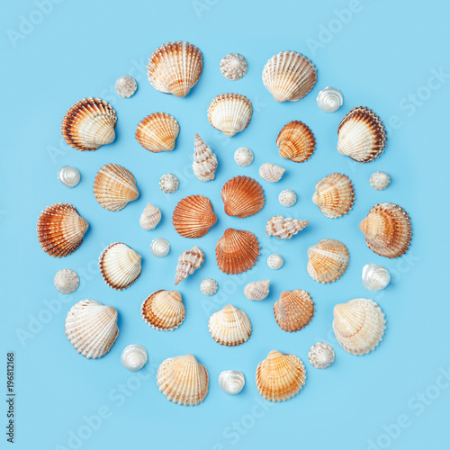 Pattern in the form of a circle of shells on a light blue background