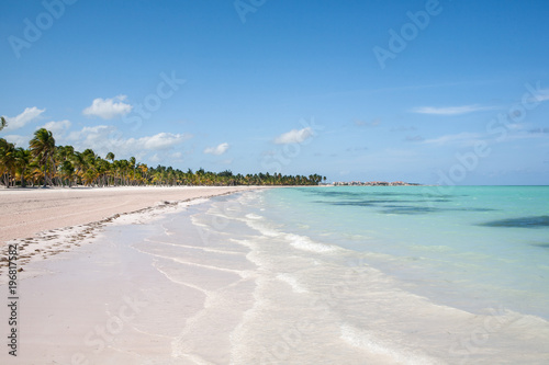 Tropical Beach with White Sand and Palm Trees, in Cap Cana,Dominican Republic