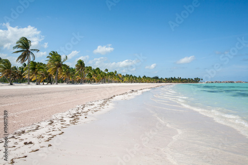 Tropical Beach with White Sand and Palm Trees, in Cap Cana, Dominican Republic