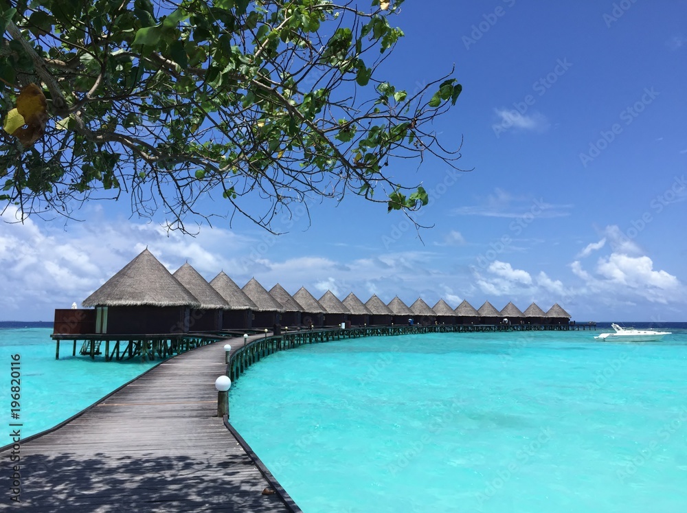 Fototapeta premium Water bungalow(Maldives)