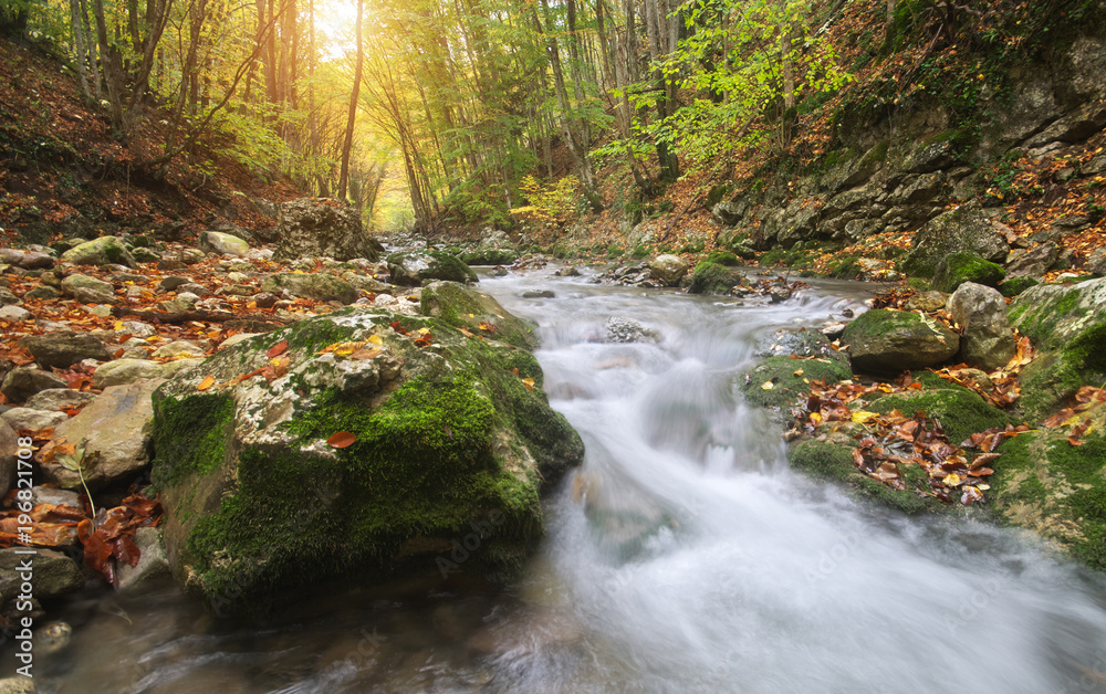 Autumn landscape. River into canyon.