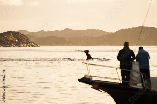 People watching whales from a yacht in Greenland