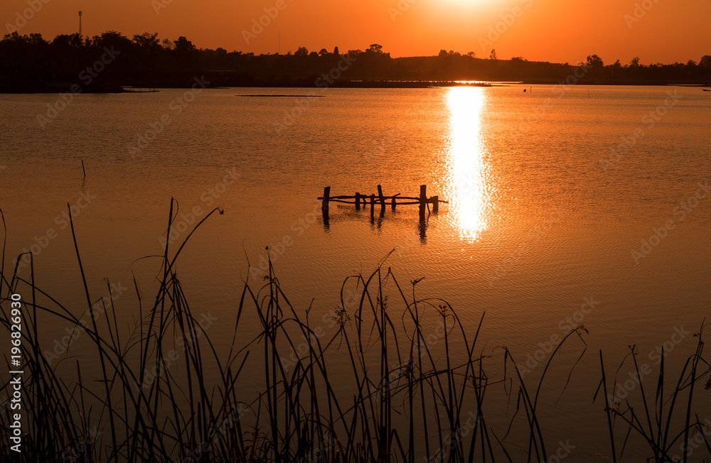 A quiet freshwater lake is reflection of the sun on water surface. Silhouetted of Sedge grass and surrounded by trees along the coast. During the sunset.