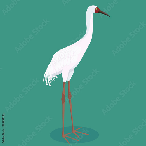 Siberian crane cartoon