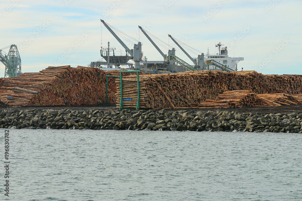 Fototapeta premium PORTLAND, AUSTRALIA - June 28, 2016: Logs stacked in rows at the port of Portland, waiting to be loaded and exported