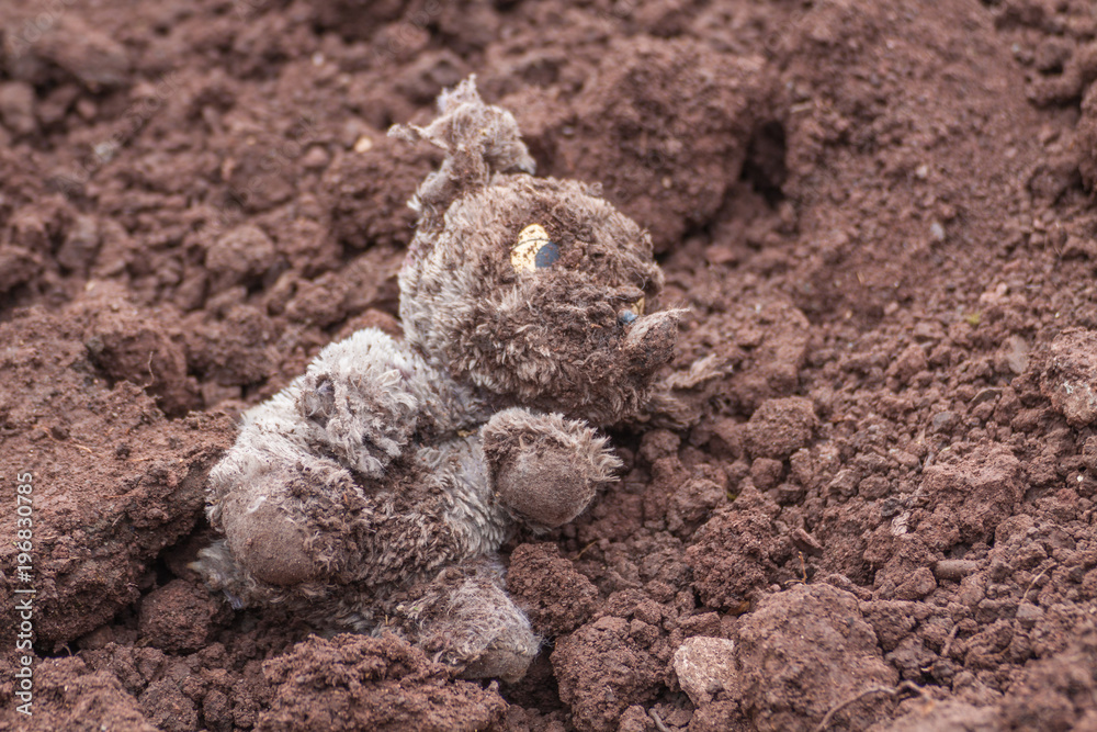 Obraz premium Alter kaputter Plüschhund