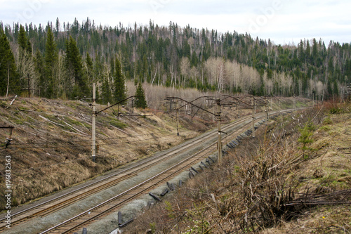 Railroad in the forest