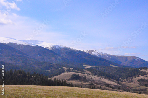 field of mountains and forest landscape