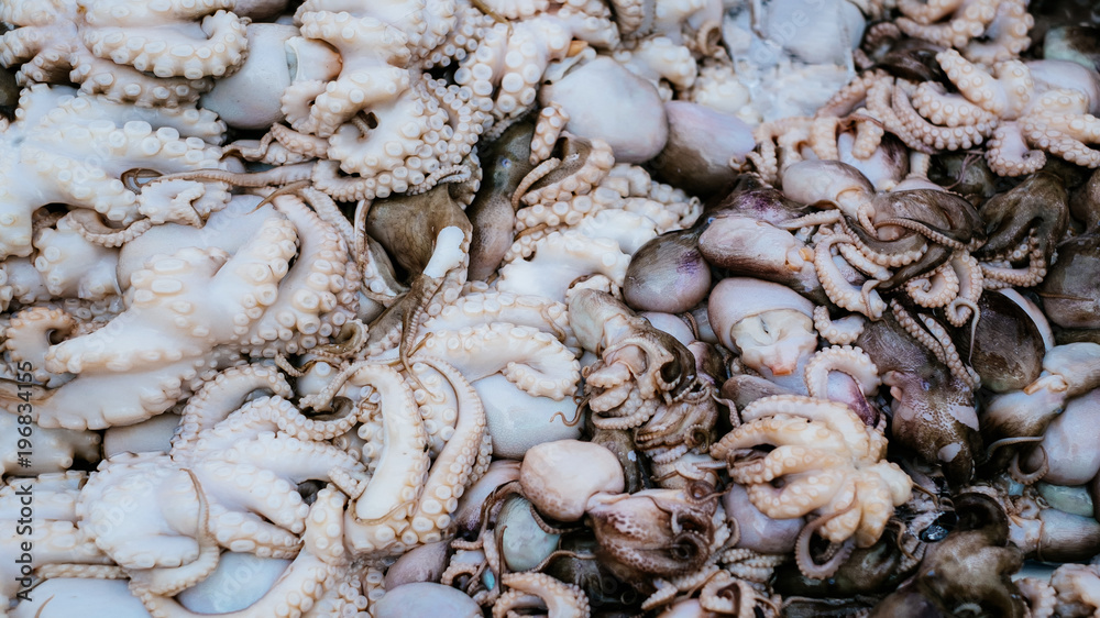 Background of fresh small octopus. Close up Background of fresh small octopus. Close up