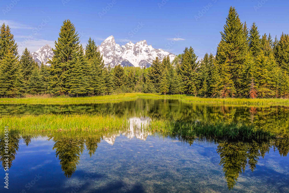 The Grand Tetons capped with snow in early spring time Tranquil scenes of water in front of these majestic mountains in this US National Park endeared to nature, hiking, outdoor enthusiasts