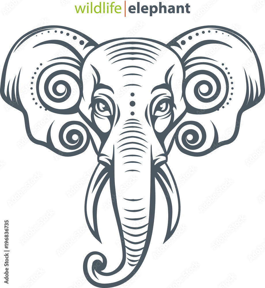 Fototapeta premium Vector illustration, elephant head for wildlife symbol