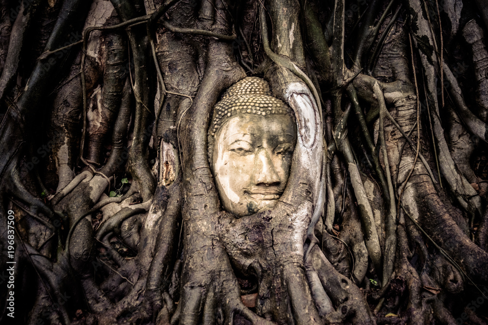 Buddha head in tree roots, Ayutthaya