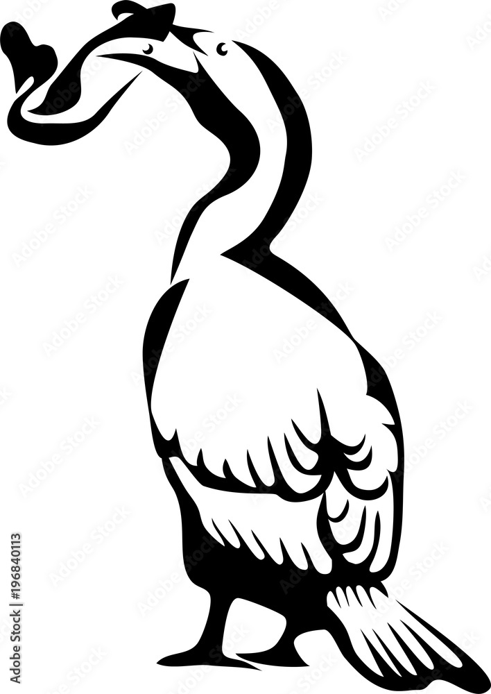 Cormorant - stylized vector illustration Cormorant - stylized vector illustration