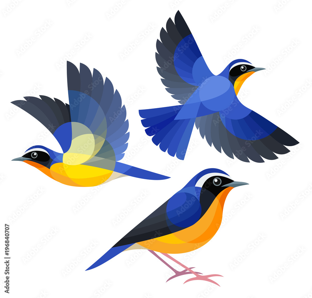 Fototapeta premium Stylized Birds - Indian Blue Robin