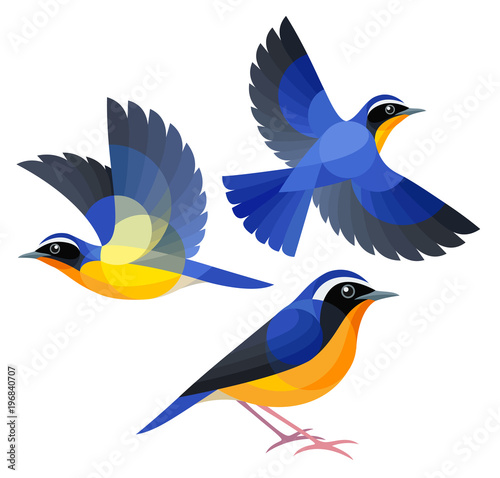 Stylized Birds - Indian Blue Robin