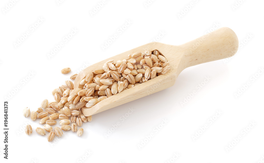 pearls barley grain seed on background