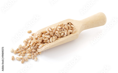 pearls barley grain seed on background photo