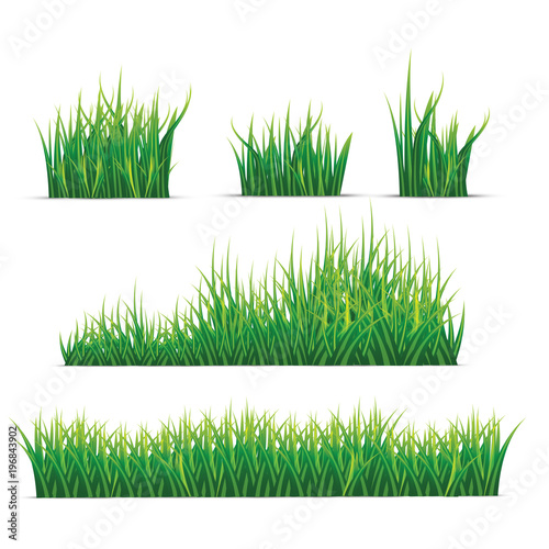 Set Of Realistic Grass