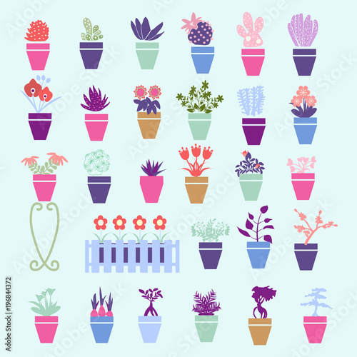 Collection colorful silhouette of garden, house flowers and herbs plants in pot