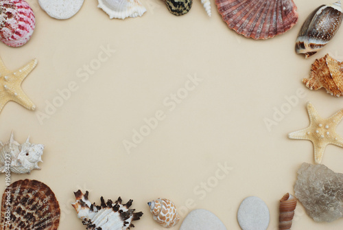 Sea Shells Frame on Neutral Ivory Backgroundwith Copy space for Text. Nautical and Marinne Concept.