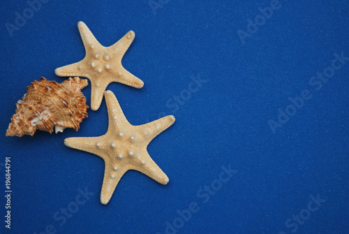 Nautical, Marrine concept. Starfish with Shell against a Blue background with copy Space. Summer Holliday.