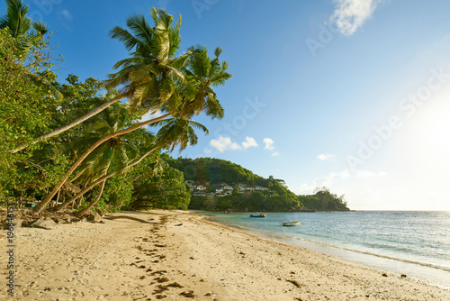 Baie Lazare Beach with coconut palm trees  seychelles