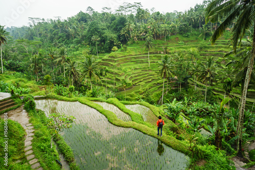 Young traveler looking at beautiful tegallalang rice terrace in Bali photo