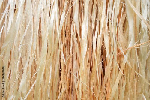 Raffia Pacific Islands skirt straw background. photo