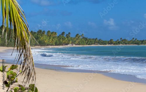 Fototapeta Naklejka Na Ścianę i Meble -  The Caribbean beach , Martinique island.