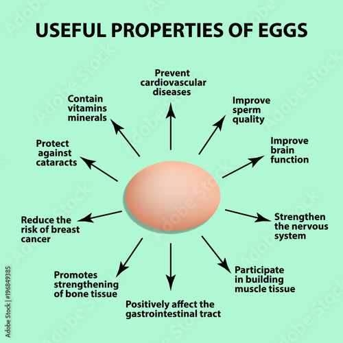 Useful properties of chicken eggs. Infographics. Vector illustration.