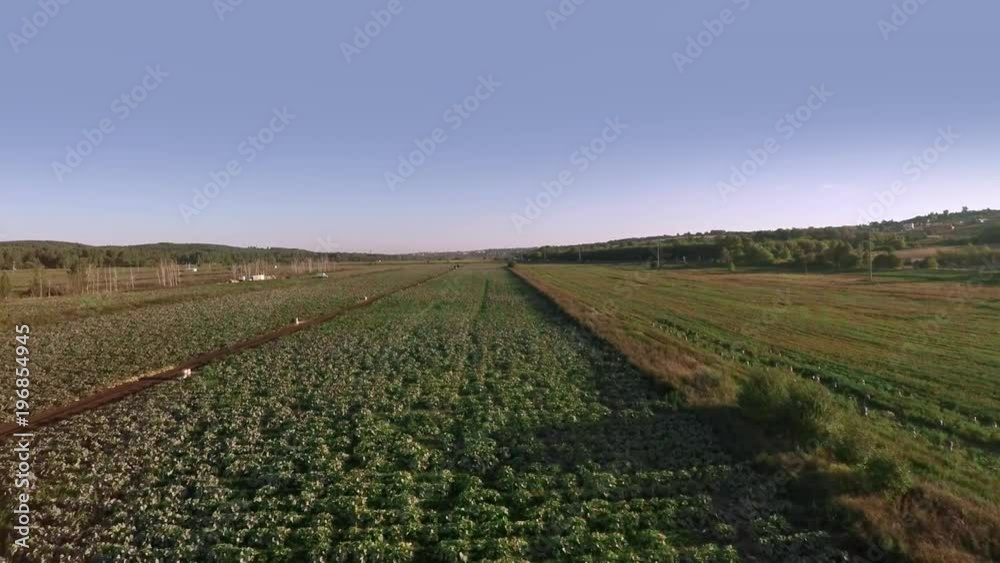 Harvesting in a field Harvesting in a field