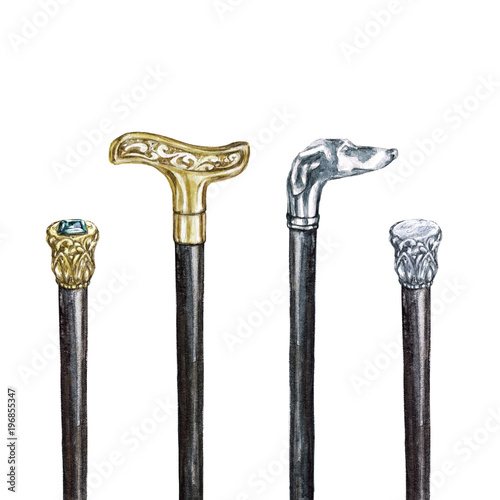 Billede på lærred Walking sticks. Watercolor Illustration.