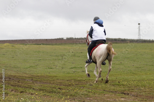 Jinete a caballo paseando por el campo. Clases de equitación.