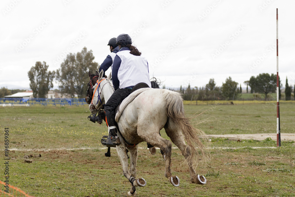 Carreras de caballos de larga distancia