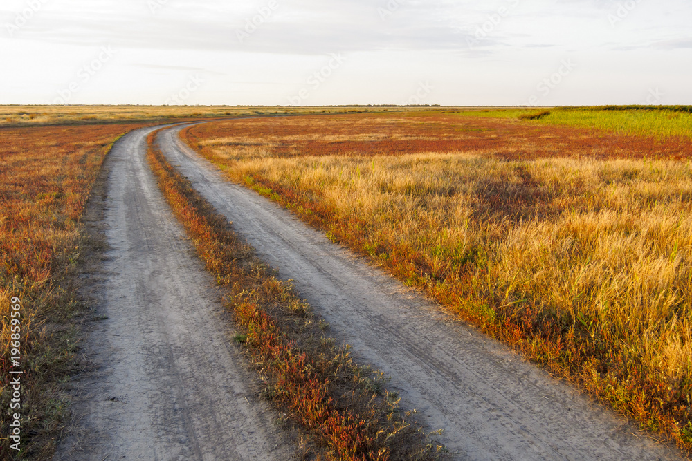 Dirt road in the steppe among alkali soils surrounded by plants by red and green plants and saline at sunset