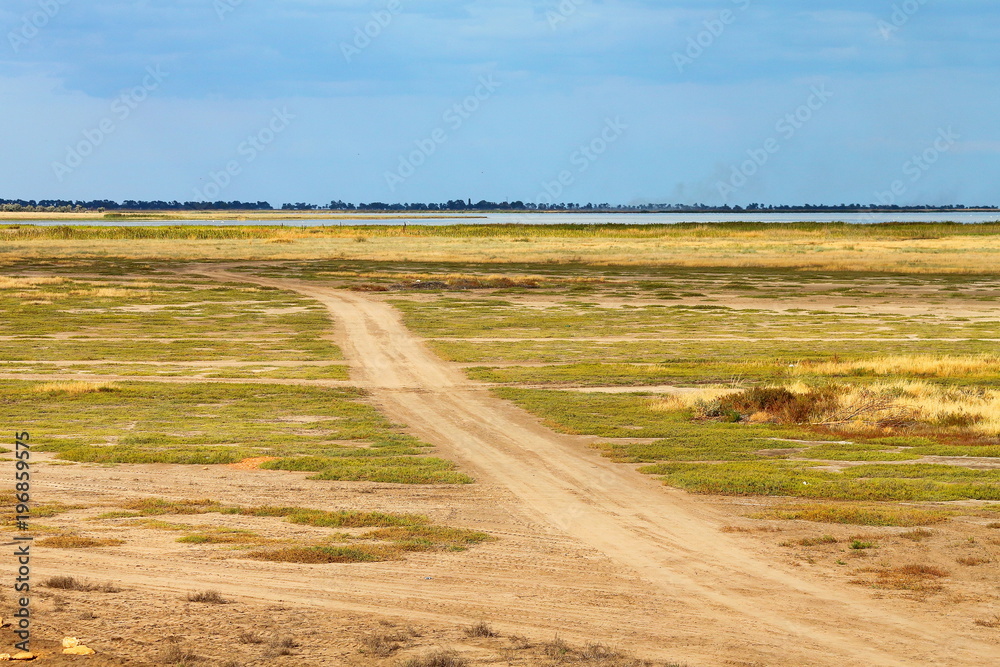 Dirt road in the steppe among alkali soils surrounded by plants by red and green plants and saline at sunset Dirt road in the steppe among alkali soils surrounded by plants by red and green plants and saline at sunset