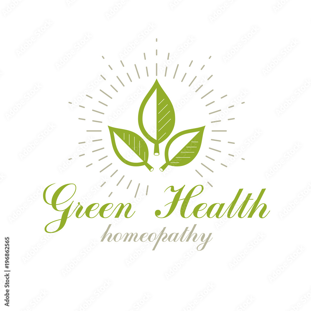 Green spring leaves vector symbol for use in medical and social theme advertisement. Raw food diet vector graphic conceptual logo, no gm theme. Green spring leaves vector symbol for use in medical and social theme advertisement. Raw food diet vector graphic conceptual logo, no gm theme.