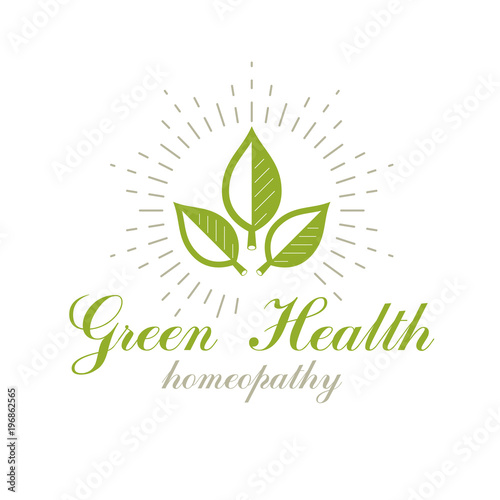 Green spring leaves vector symbol for use in medical and social theme advertisement. Raw food diet vector graphic conceptual logo, no gm theme.