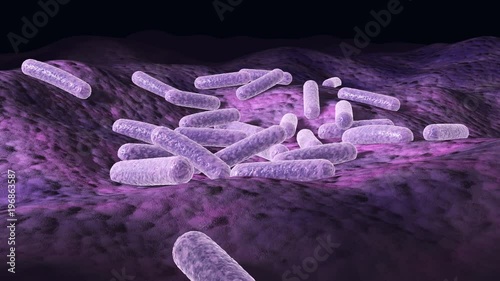 Microscopic 3d animation of bacteria on a surface, 360 degree loop video