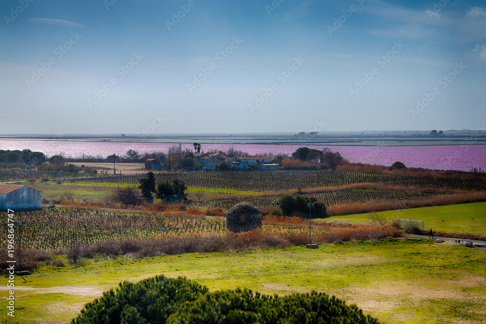 Les étangs roses des Salins du Midi vu depuis les remparts de Aigues Mortes