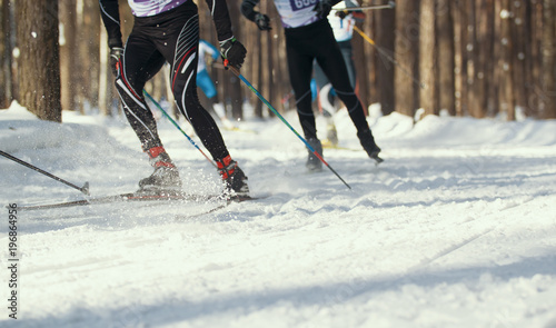 Ski competition - legs of sportsmen running on snowy sunny forest photo
