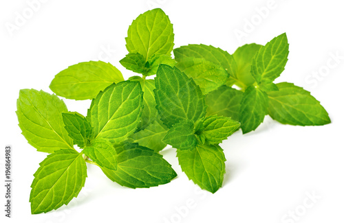 fresh herb, peppermint isolated on white