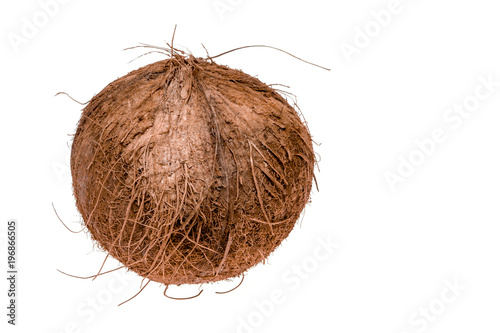 Tropical fruit coconut isolated on white background