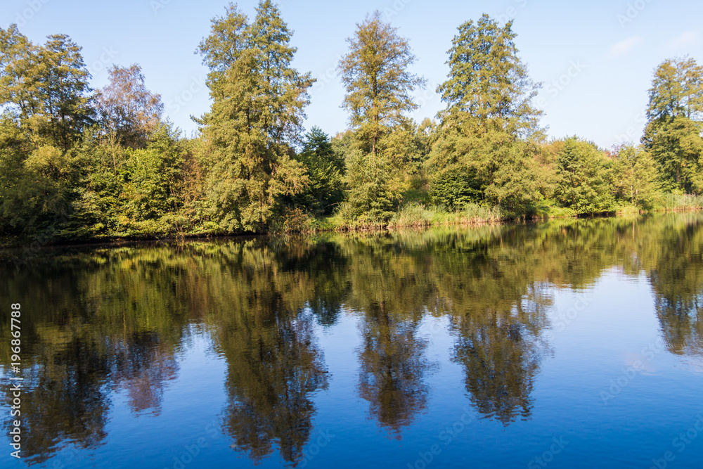 Park mit See und satten grünen Bäumen am Ufer bei sonnigem Wetter Stock