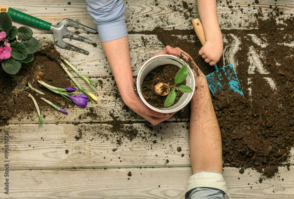 Gardening. Spring came. new flowers. Work for the whole family. Family ...