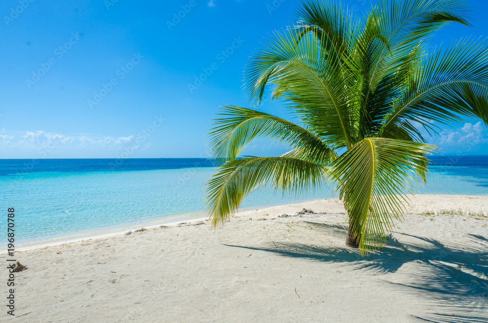 Obraz premium Belize Cayes - Small tropical island at Barrier Reef with paradise beach - known for diving, snorkeling and relaxing vacations - Caribbean Sea, Belize, Central America
