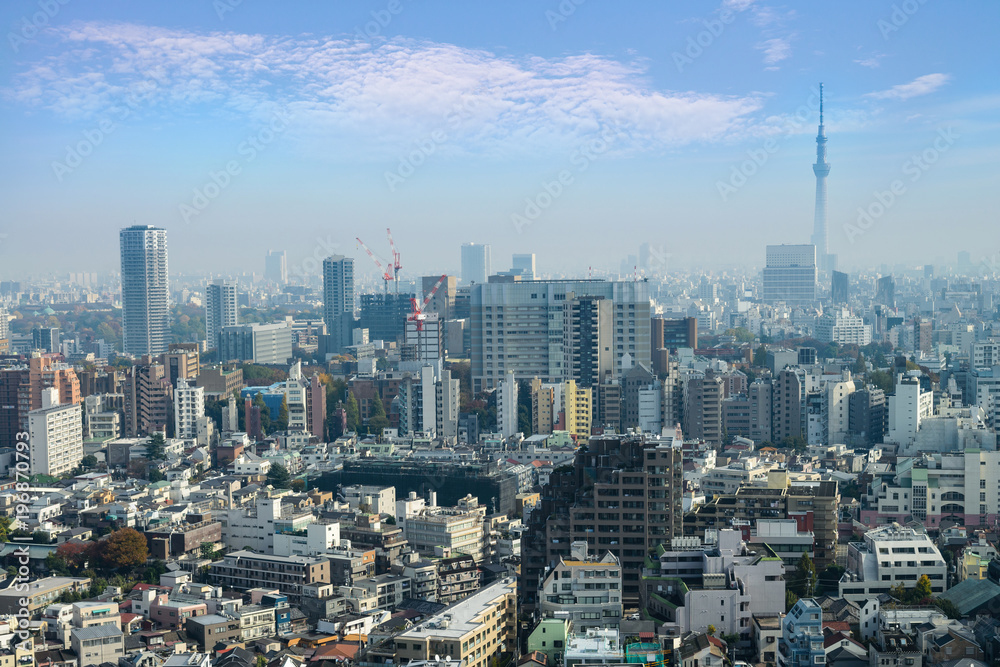 Fototapeta premium Cityscapes of tokyo in Fog after rain in winter season, Skyline of Bunkyo ward, Tokyo, Japan, Tokyo is the world's most populous metropolis and is described as command centers for world economy.