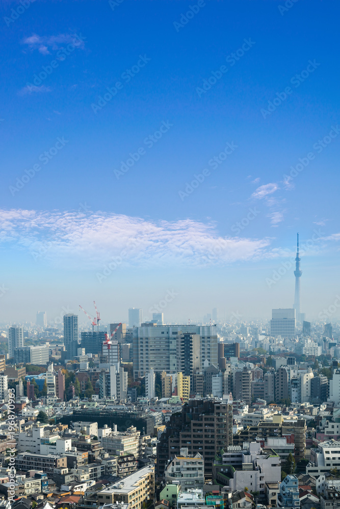Cityscapes of tokyo in Fog after rain in winter season, Skyline of Bunkyo ward, Tokyo, Japan, Tokyo is the world's most populous metropolis and is described as command centers for world economy.