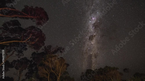 Time lapse of milky way rotation above Australian trees photo